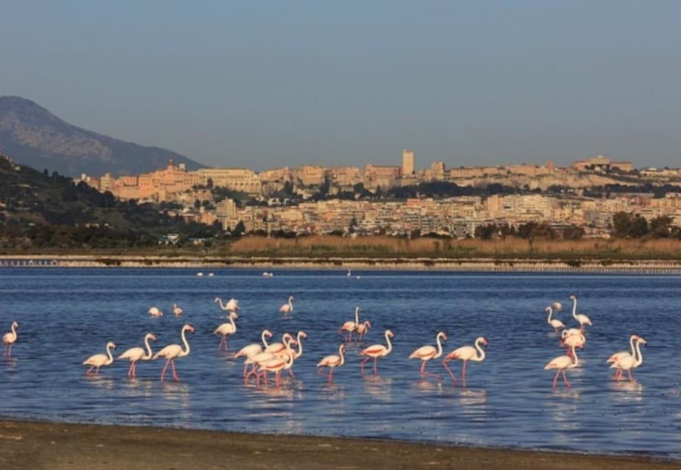 Alloggio bellissimo a Cagliari Piazza Galilei Esterno foto